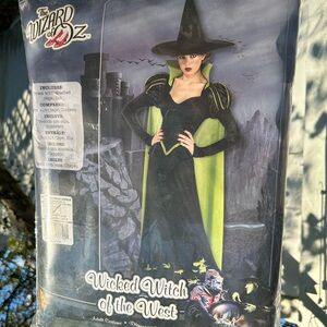 Wicked Witch of the West Costume